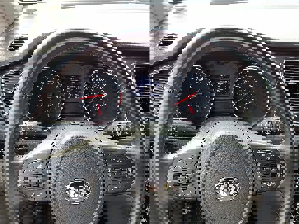 Used 2019 Kia Sedona EX image 19