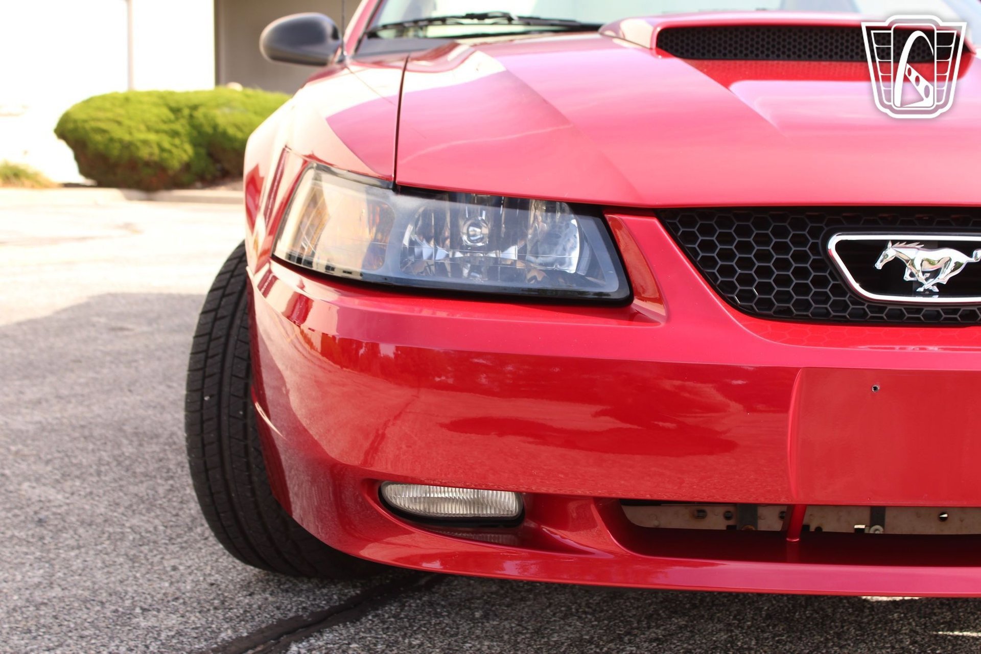 Used 2001 Ford Mustang Bullitt image 27