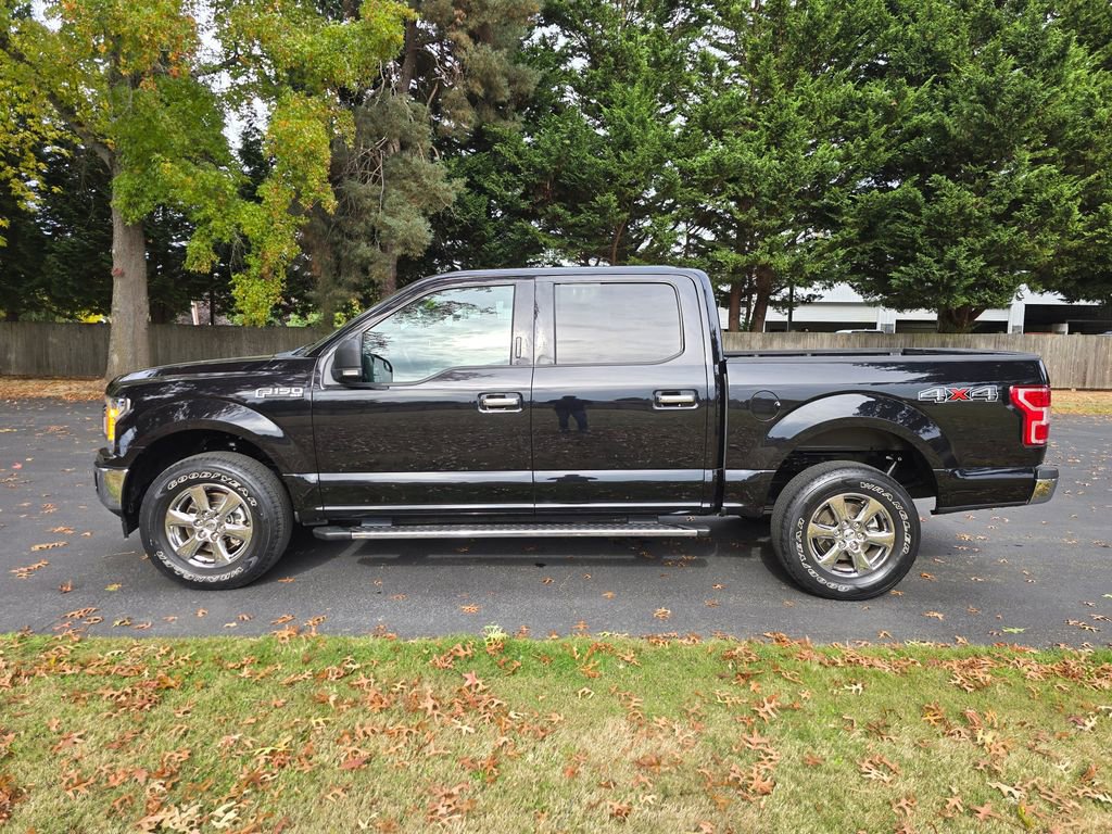 Used 2019 Ford F150 XLT w/ Equipment Group 302A Luxury AWD/4WD image 3
