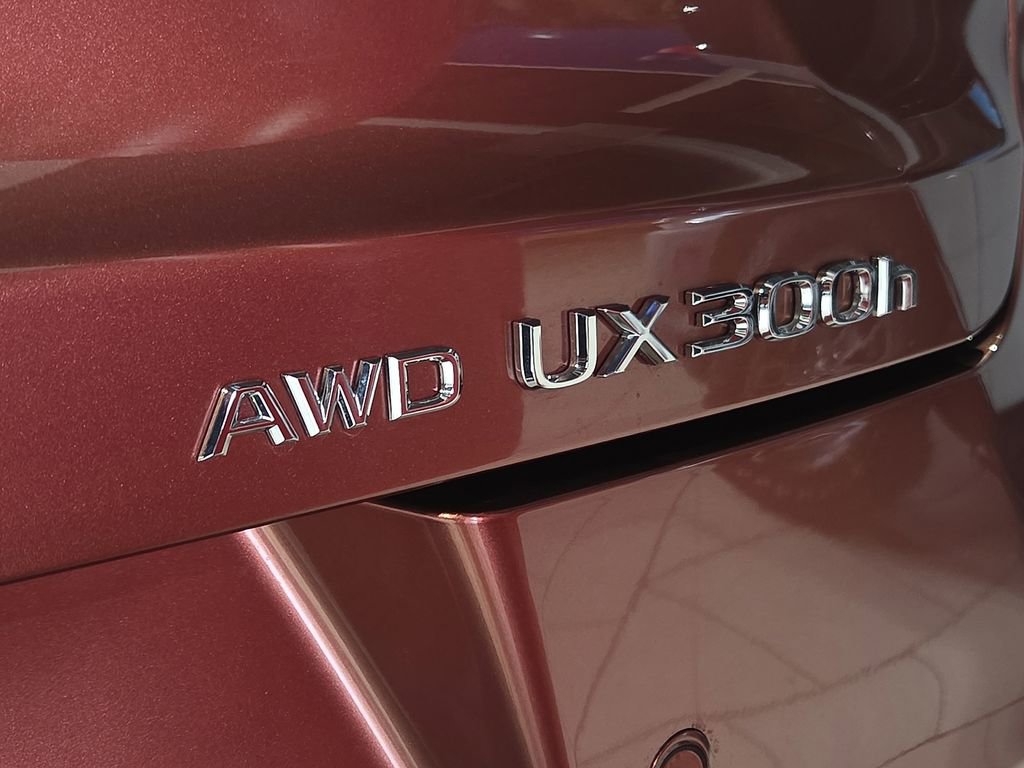 Used 2026 Lexus UX 300h AWD w/ Accessory Package (2T) image 11