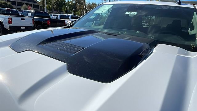 New 2026 Chevrolet Silverado 1500 Custom Trail Boss w/ LPO, Dark Essentials Package image 10