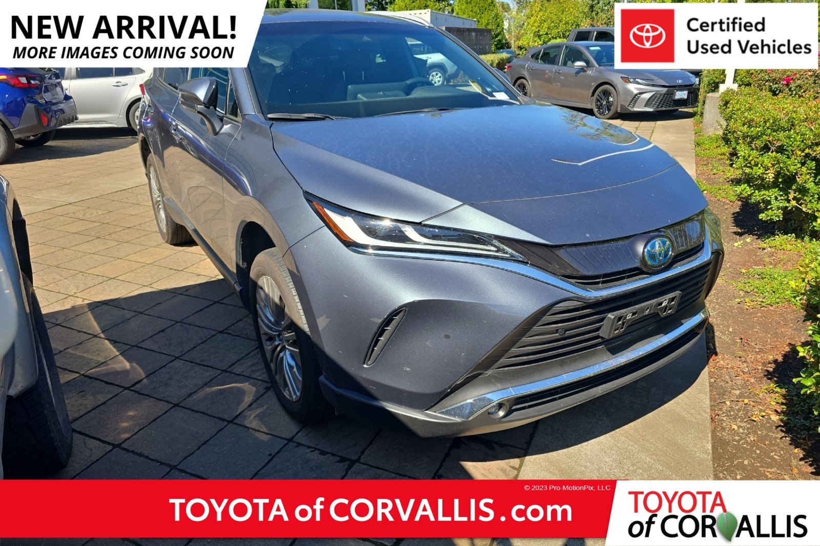 Certified 2024 Toyota Venza XLE AWD/4WD image 1