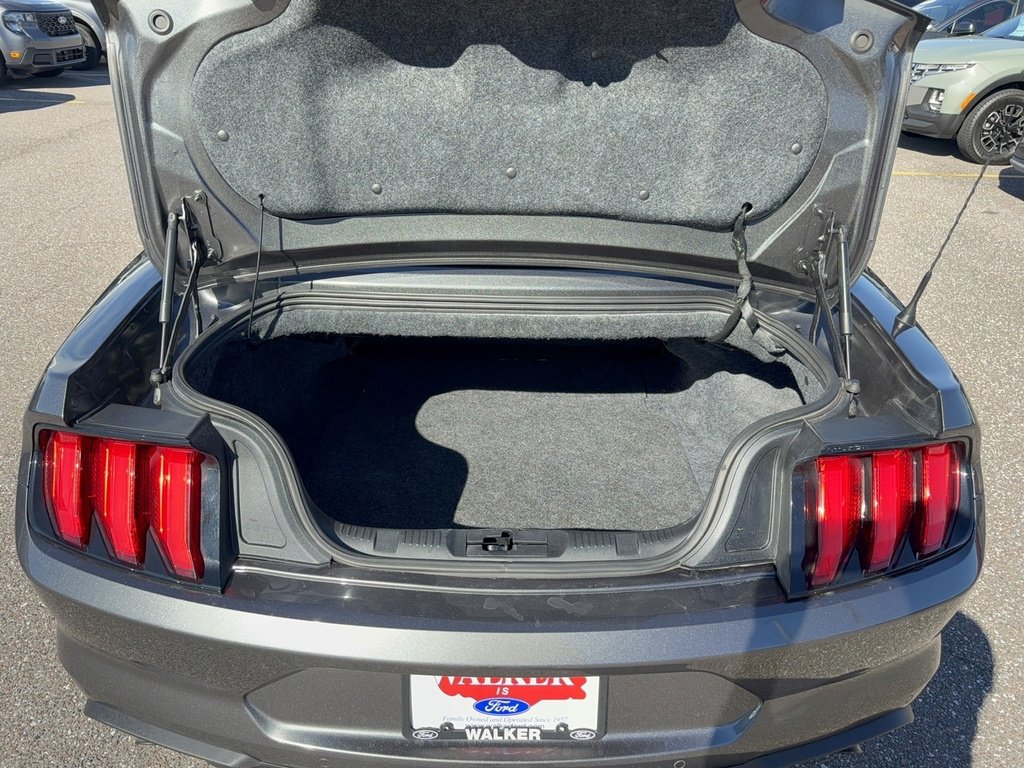 Certified 2020 Ford Mustang Premium w/ Equipment Group 201A image 7