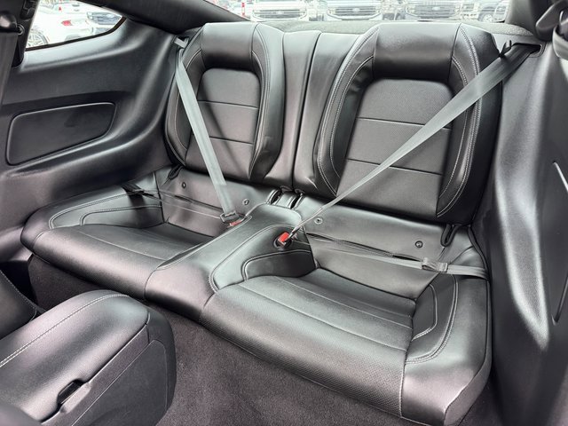 Used 2022 Ford Mustang GT Premium w/ Equipment Group 401A image 15