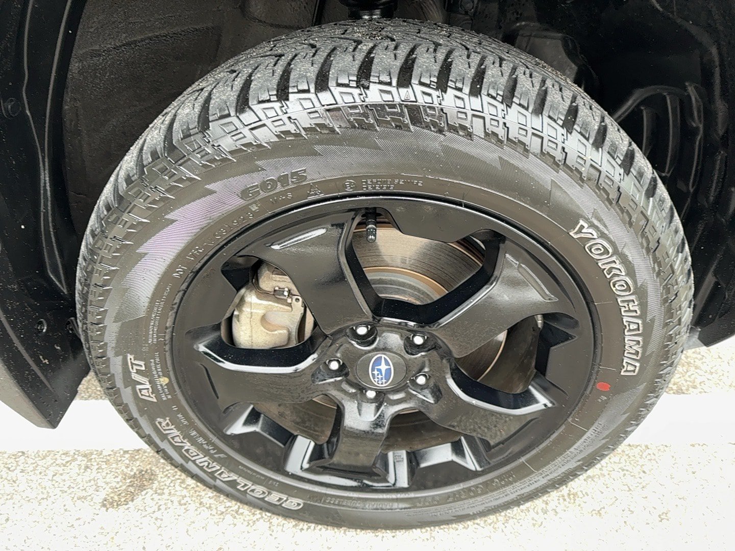 Certified 2023 Subaru Forester Wilderness AWD/4WD image 9