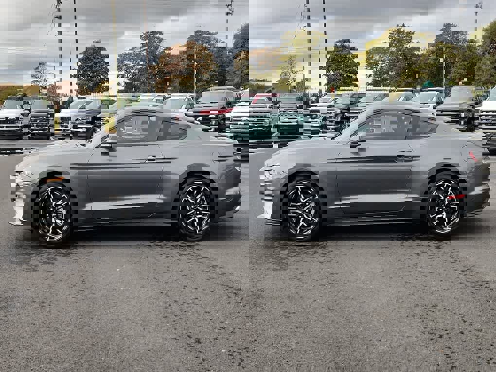 Used 2021 Ford Mustang EcoBoost w/ Equipment Group 101A image 5