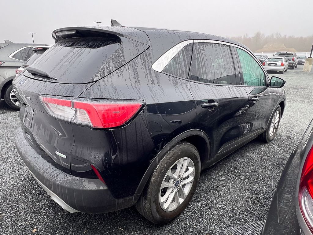 Used 2020 Ford Escape SE image 5