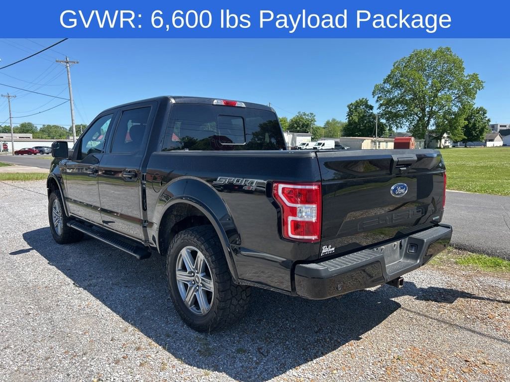 Used 2019 Ford F150 XLT w/ Equipment Group 302A Luxury AWD/4WD image 6
