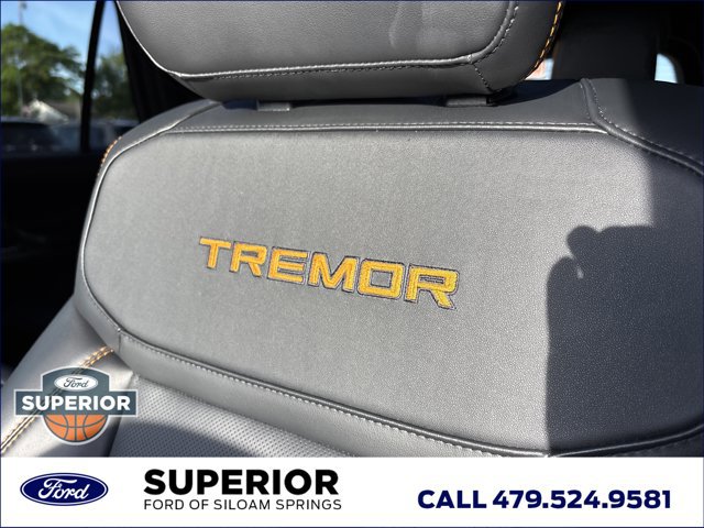 Used 2026 Ford Expedition Tremor AWD/4WD image 28
