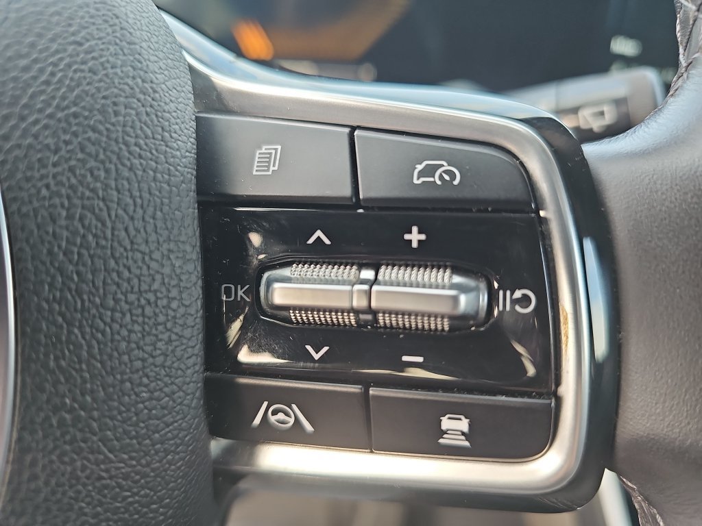 Used 2025 Kia Carnival FWD image 17