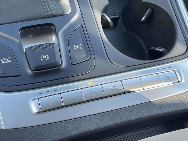 New 2026 Kia Carnival image 38