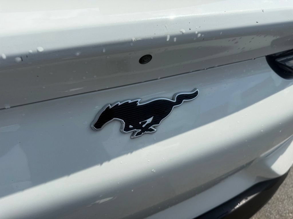 Used 2022 Ford Mustang Mach-E Select AWD/4WD image 39