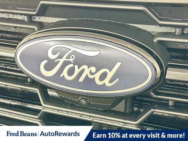 New 2026 Ford Expedition Active image 21