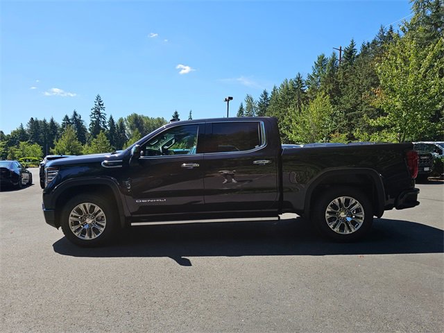 New 2025 GMC Sierra 1500 Denali w/ Denali Carbonpro Edition image 4