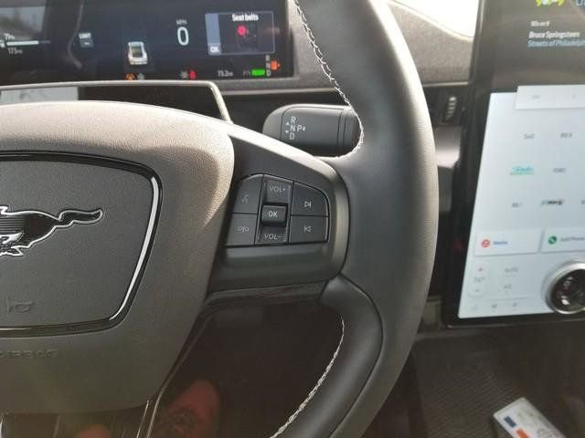 New 2025 Ford Mustang Mach-E GT w/ Interior Protection Package AWD/4WD image 27