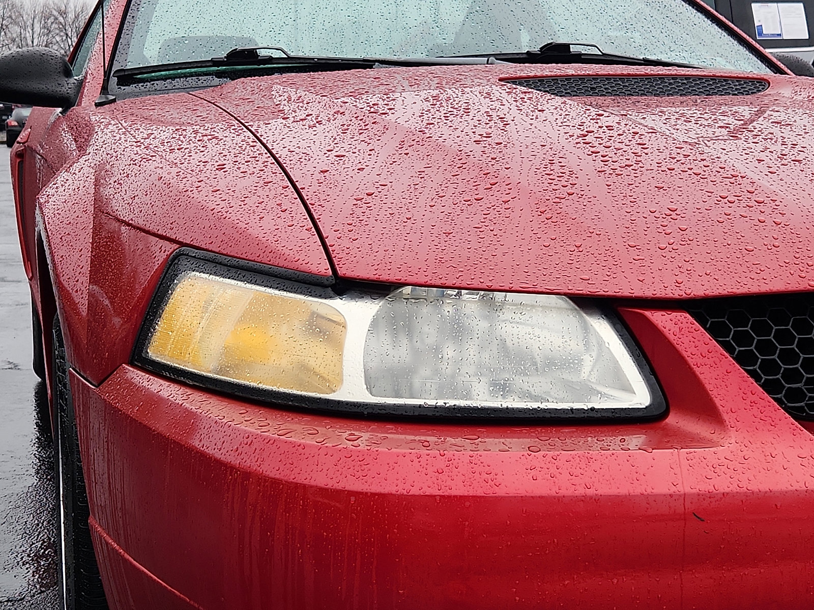 Used 1999 Ford Mustang Coupe image 13