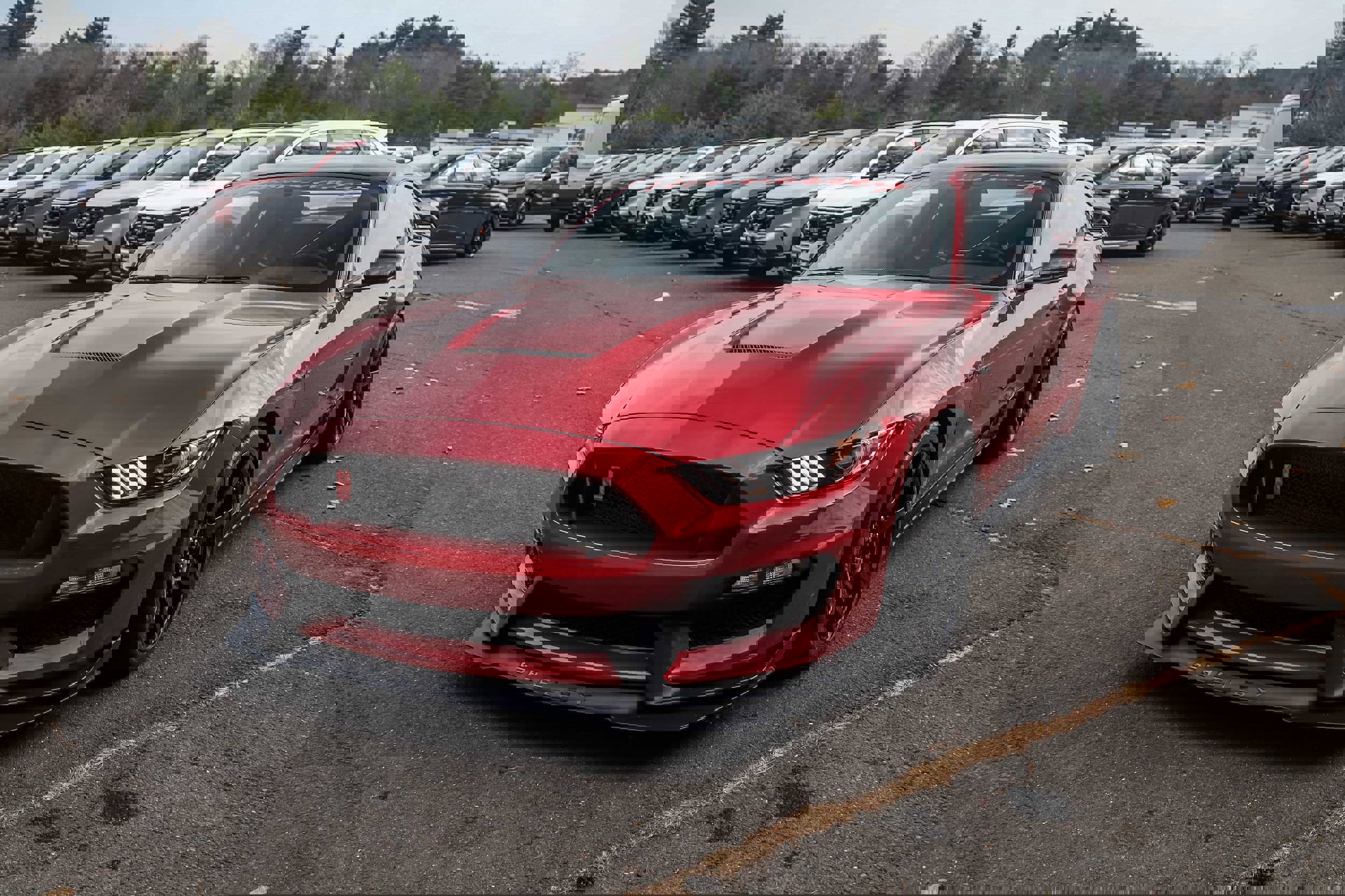 Used 2020 Ford Mustang Shelby GT350R w/ GT350R Equipment Group 920A image 11