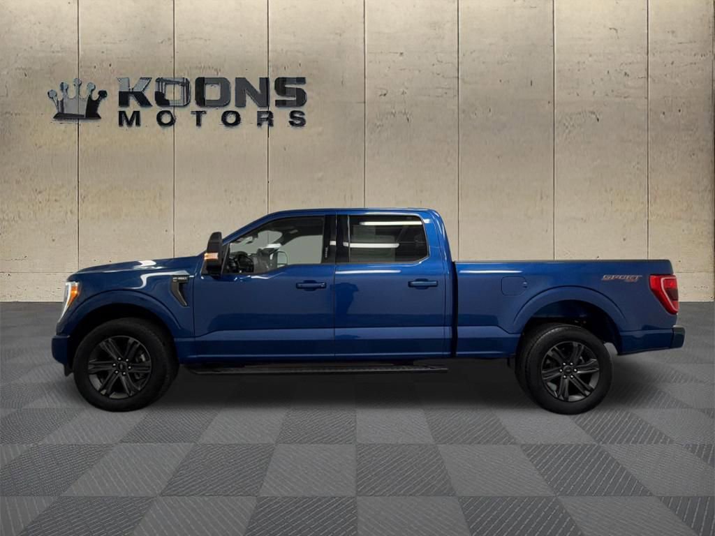 Used 2023 Ford F150 XLT w/ Equipment Group 302A High AWD/4WD video 4
