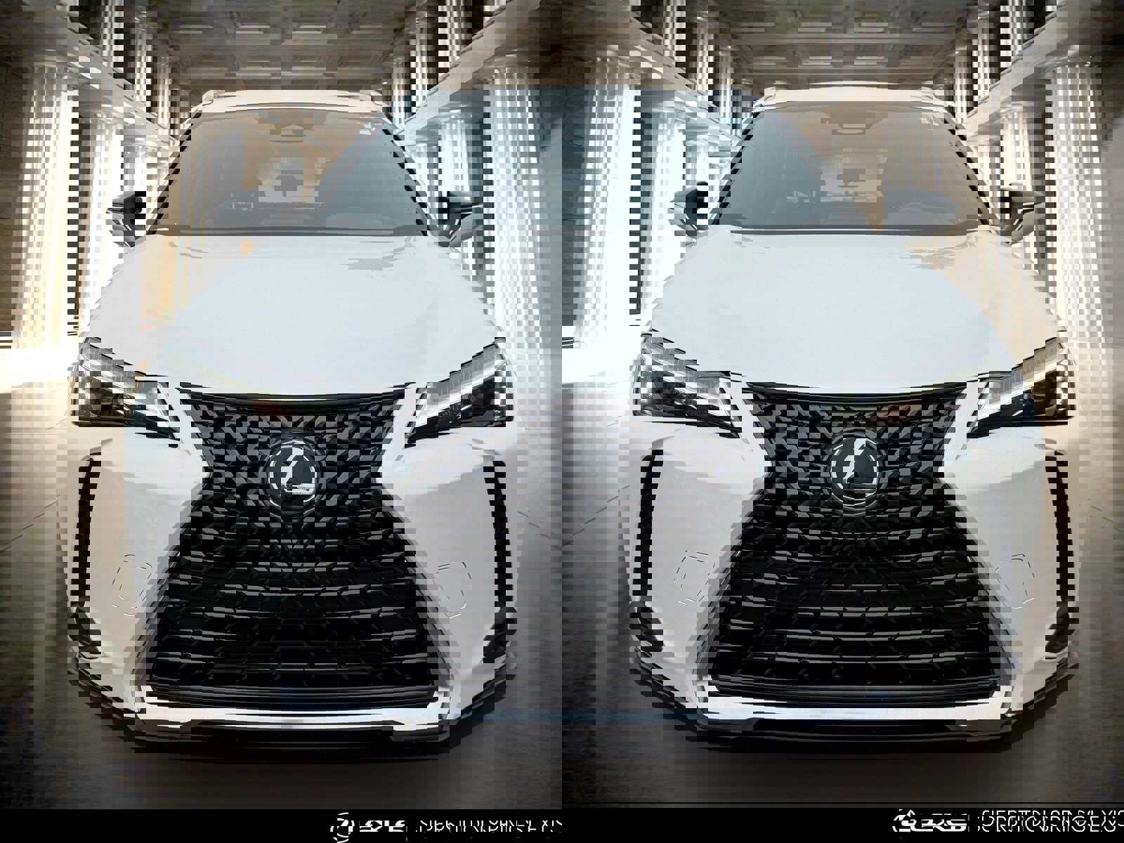 Certified 2025 Lexus UX 300h FWD image 6