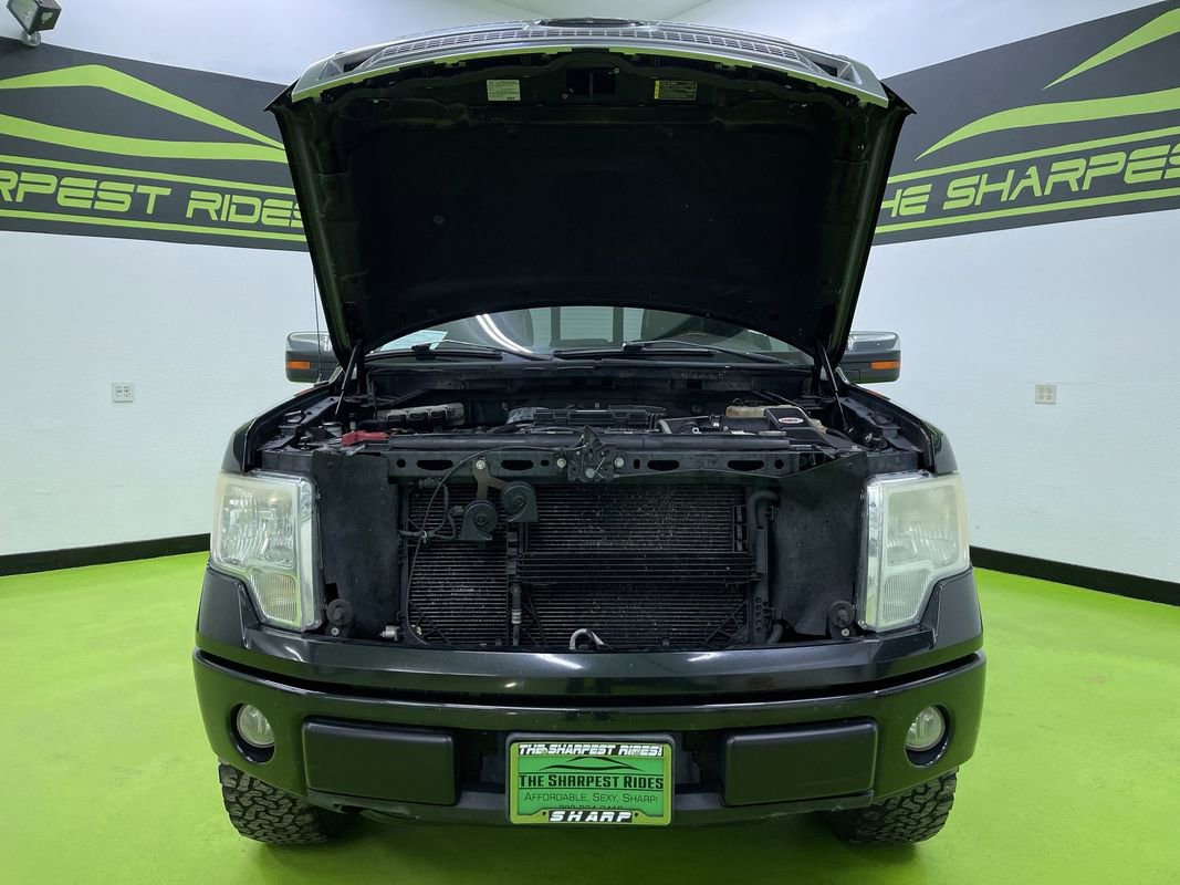 Used 2010 Ford F150 Platinum image 12