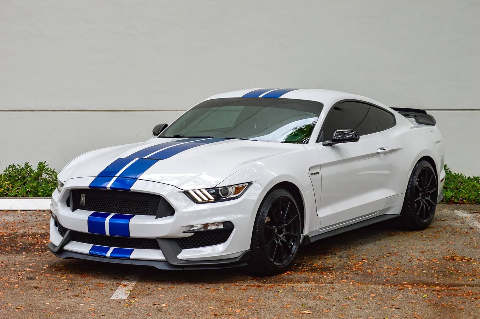Used 2018 Ford Mustang Shelby GT350 w/ Convenience Package RWD image 3