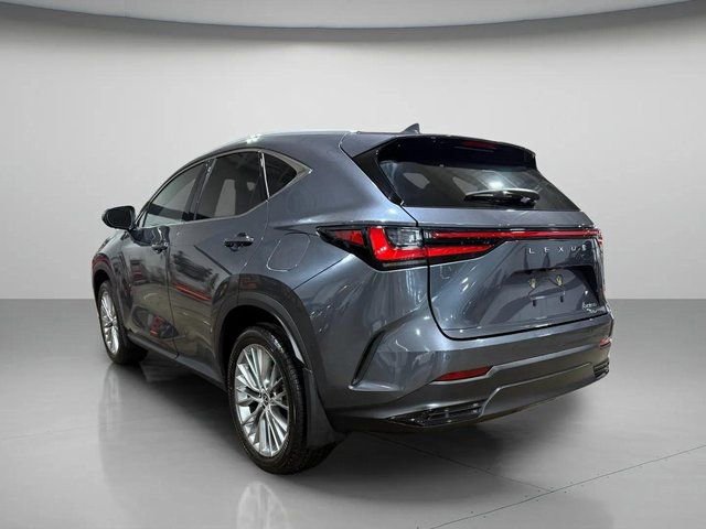 Used 2024 Lexus NX 350 AWD w/ Luxury Package image 6