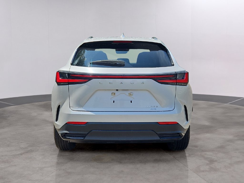 Used 2024 Lexus NX 350 AWD w/ Cold Area Package image 5
