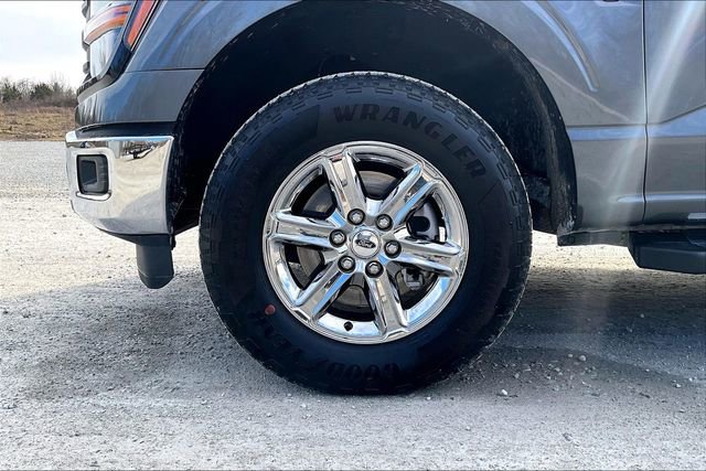 Used 2025 Ford F150 XLT w/ Equipment Group 301A Standard image 8