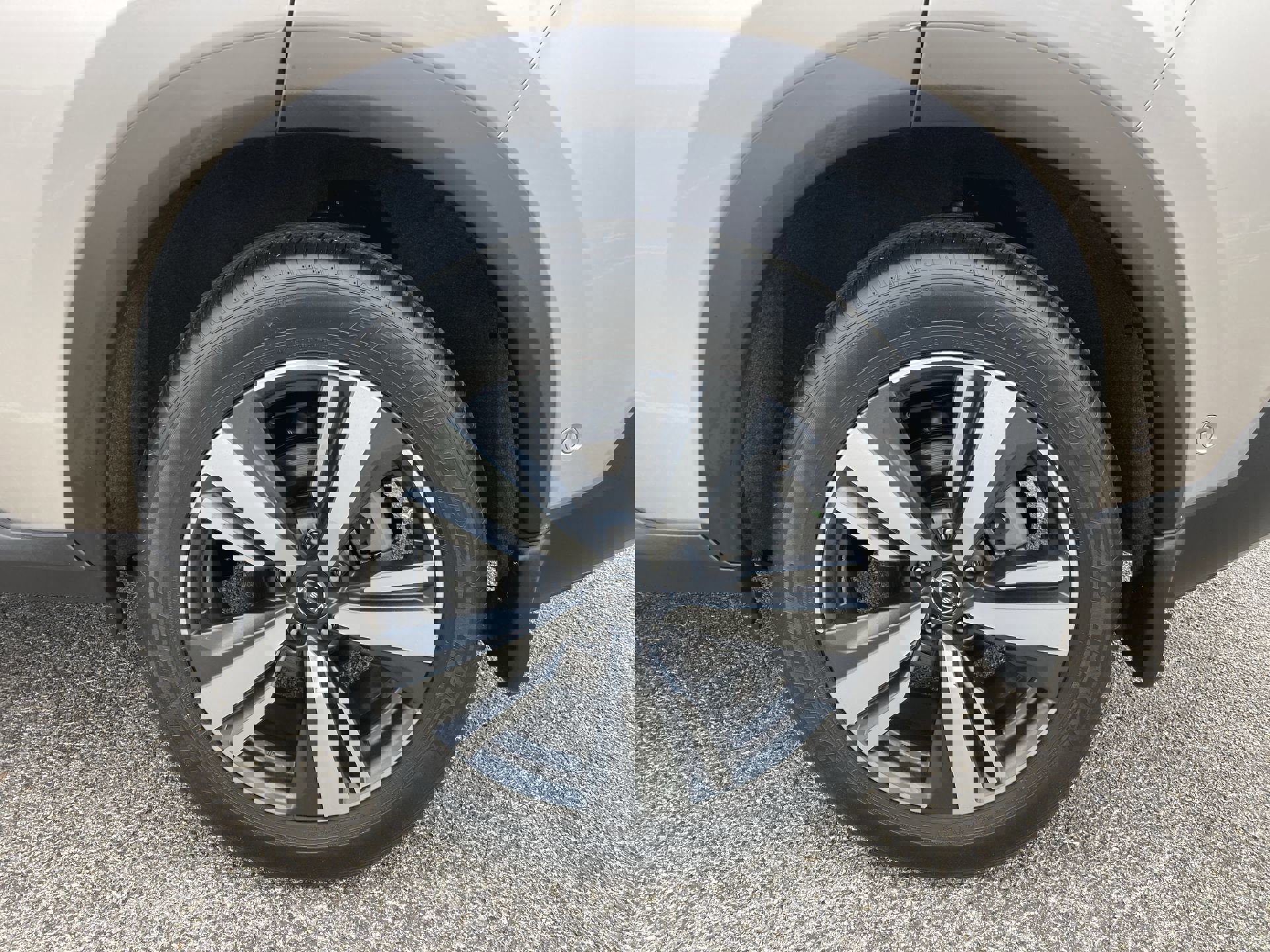 Used 2023 Nissan Rogue Platinum w/ Platinum Premium Package image 19