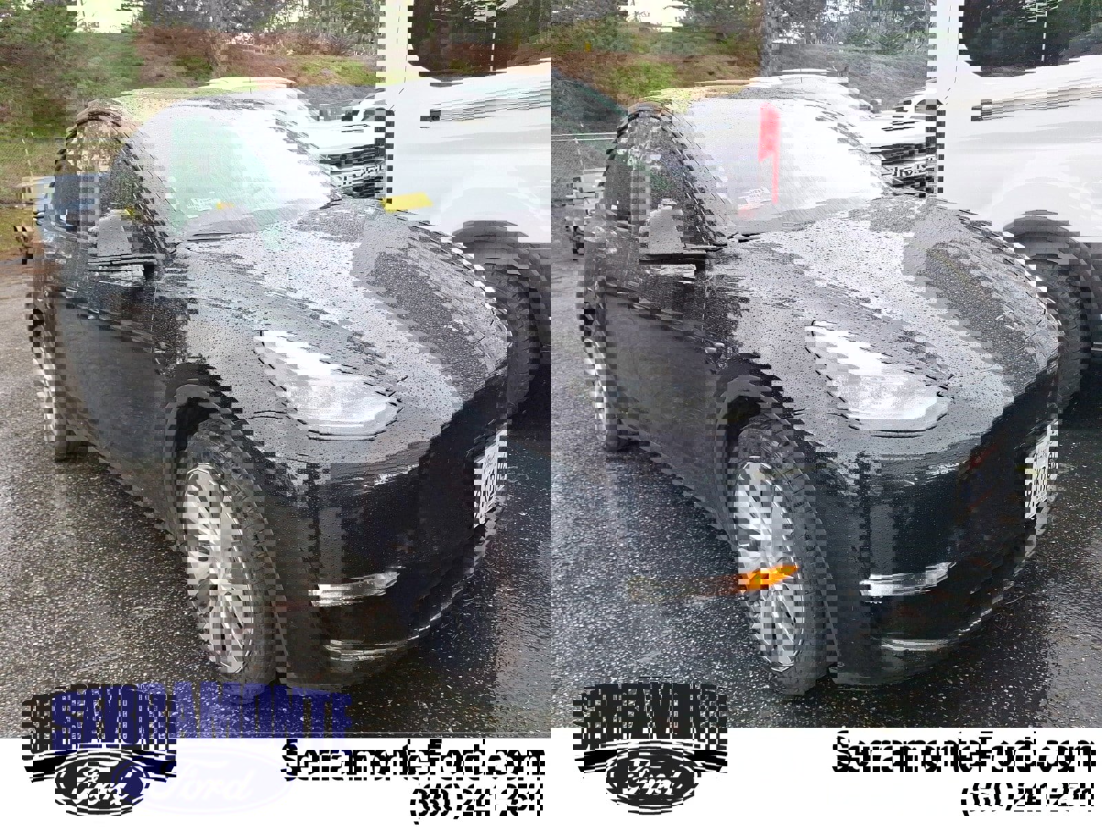 Used 2023 Tesla Model Y Long Range image 1