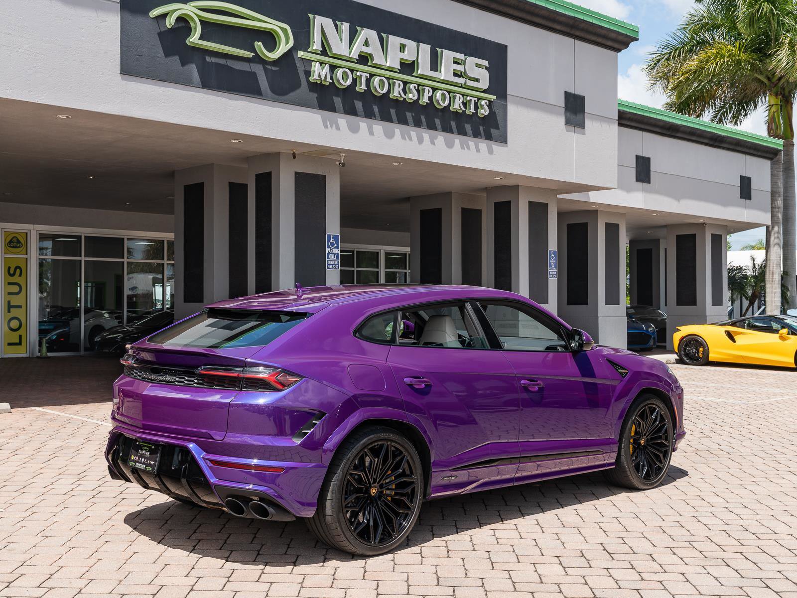 Used 2025 Lamborghini Urus SE image 47