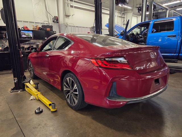 Used 2017 Honda Accord EX-L image 3