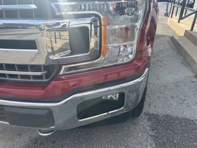 Used 2019 Ford F150 XLT w/ Equipment Group 302A Luxury image 14
