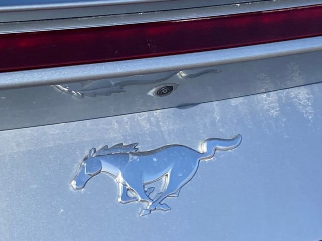 Used 2024 Ford Mustang Premium image 4
