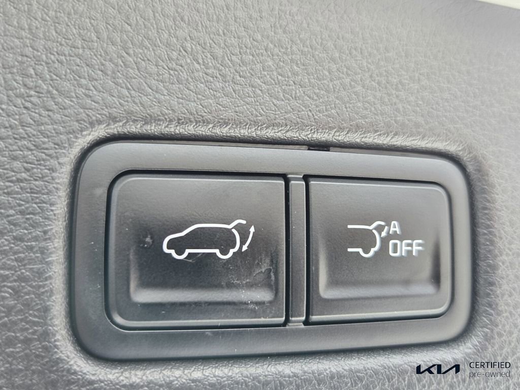 Used 2024 Kia Carnival SX FWD image 16