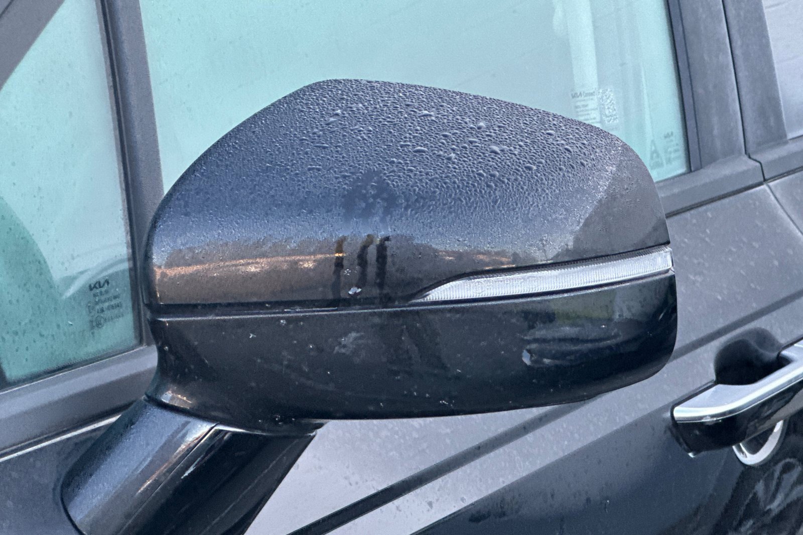 Used 2025 Kia Carnival image 11