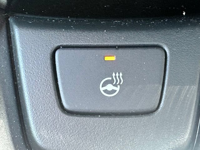 Used 2024 Honda Pilot TrailSport image 16