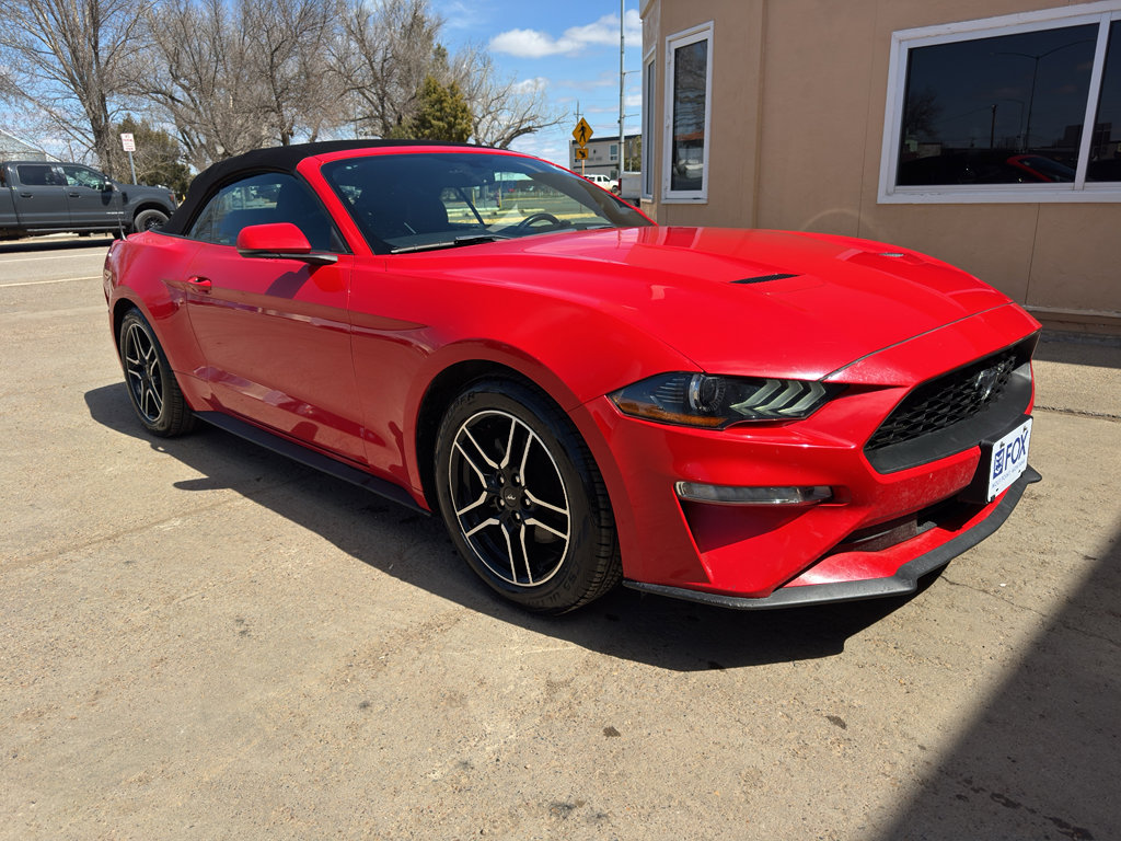 Used 2019 Ford Mustang Premium RWD image 5