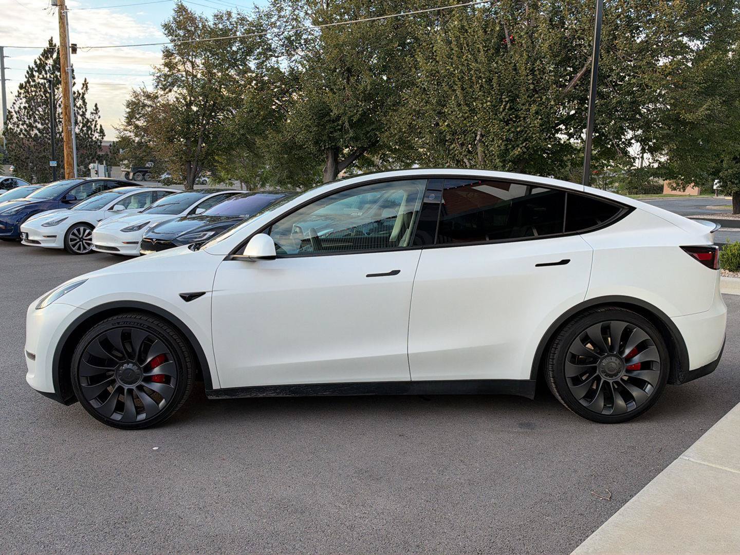 Used 2023 Tesla Model Y Performance AWD/4WD image 5