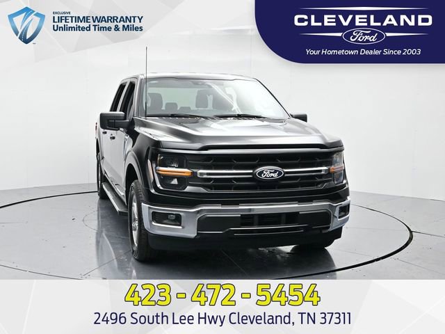 New 2025 Ford F150 XLT w/ Equipment Group 301A Standard image 4