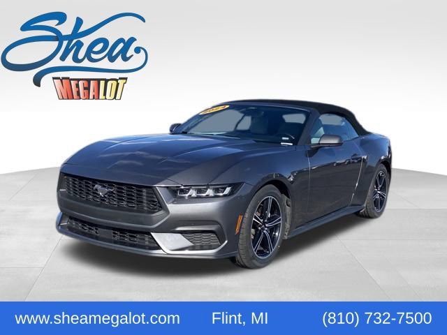 Used 2024 Ford Mustang Premium image 1