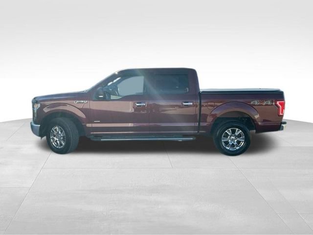 Used 2015 Ford F150 XLT w/ Equipment Group 301A Mid image 3