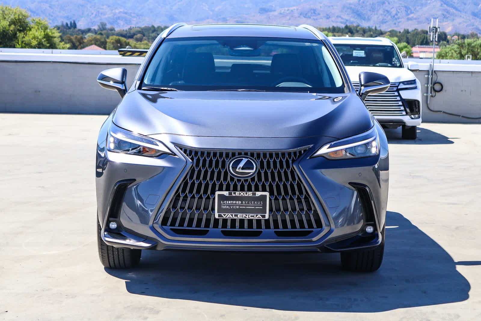 Certified 2026 Lexus NX 350 AWD image 6