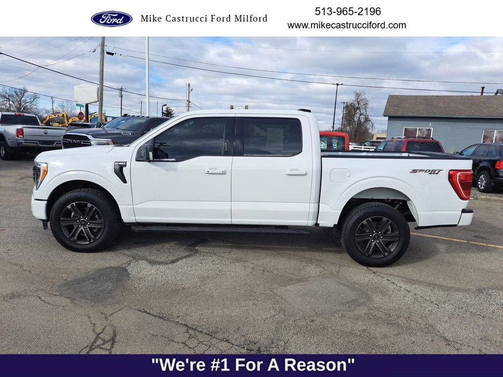 Certified 2022 Ford F150 XLT w/ Equipment Group 302A High image 2