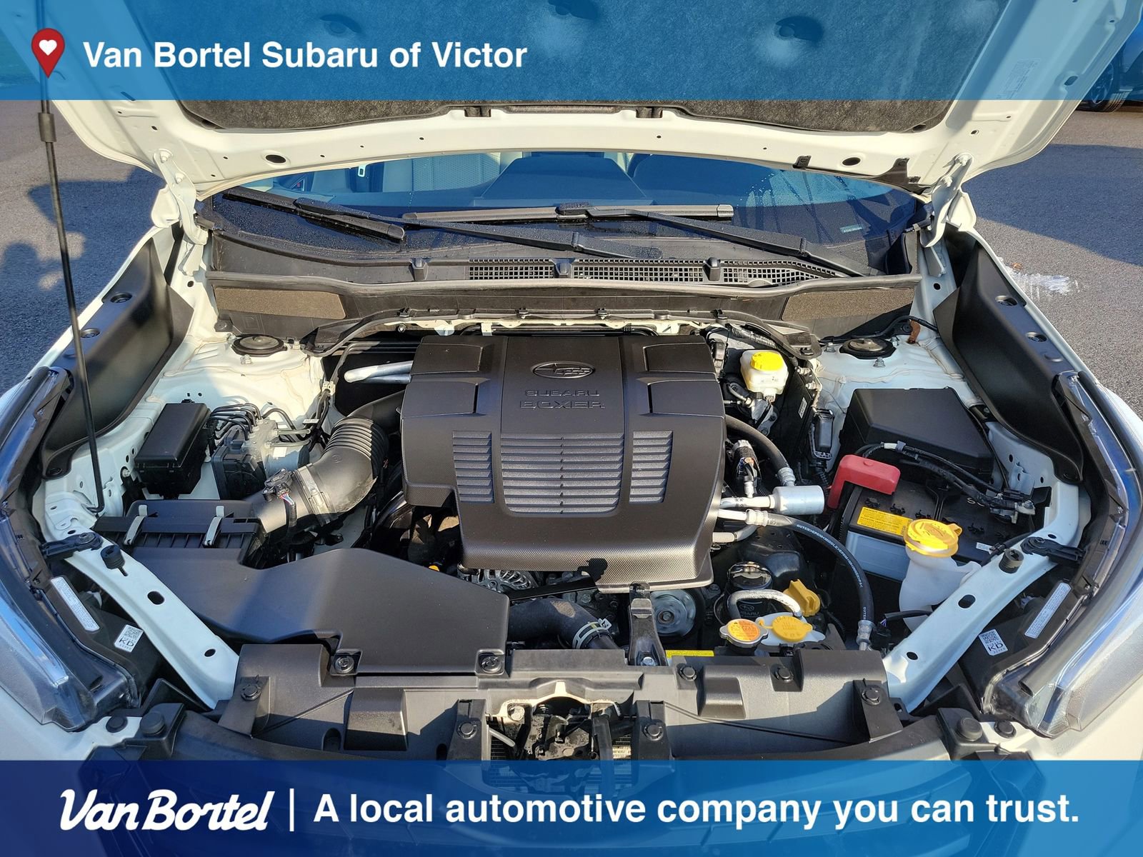 Used 2023 Subaru Forester Premium image 11