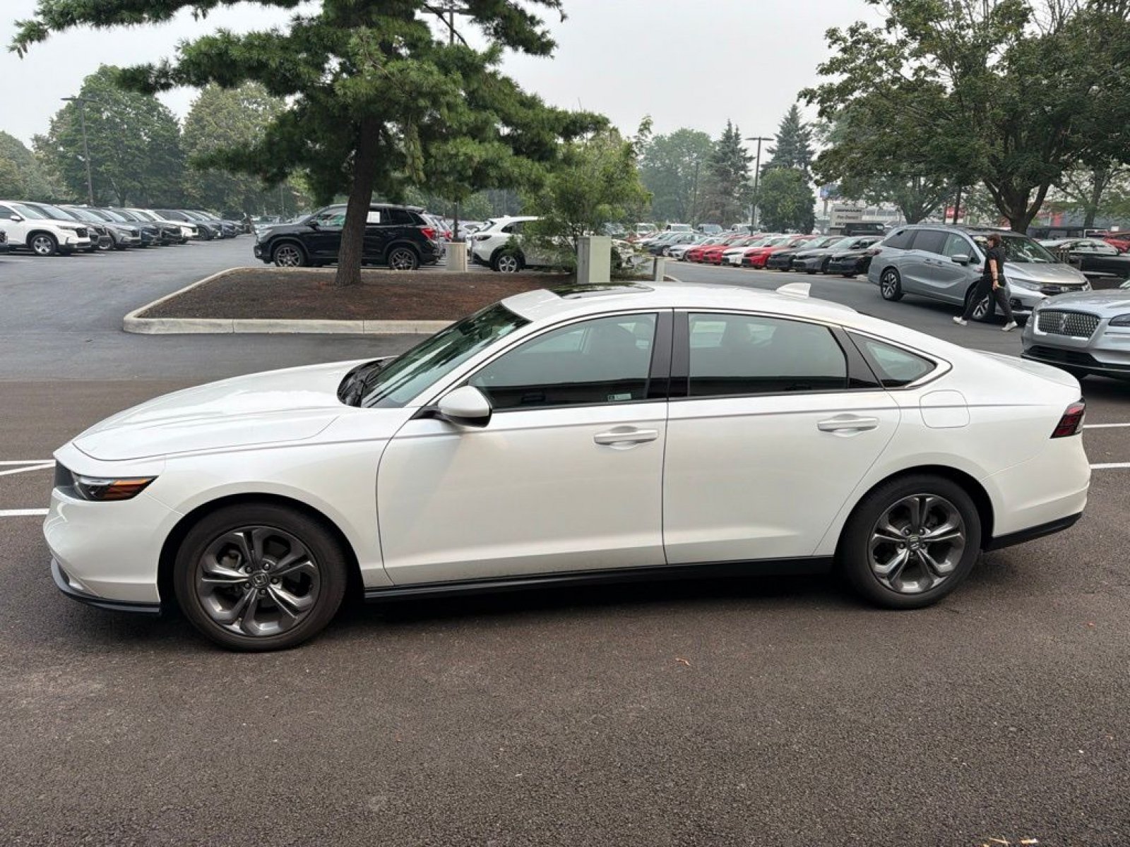 Used 2024 Honda Accord EX image 4