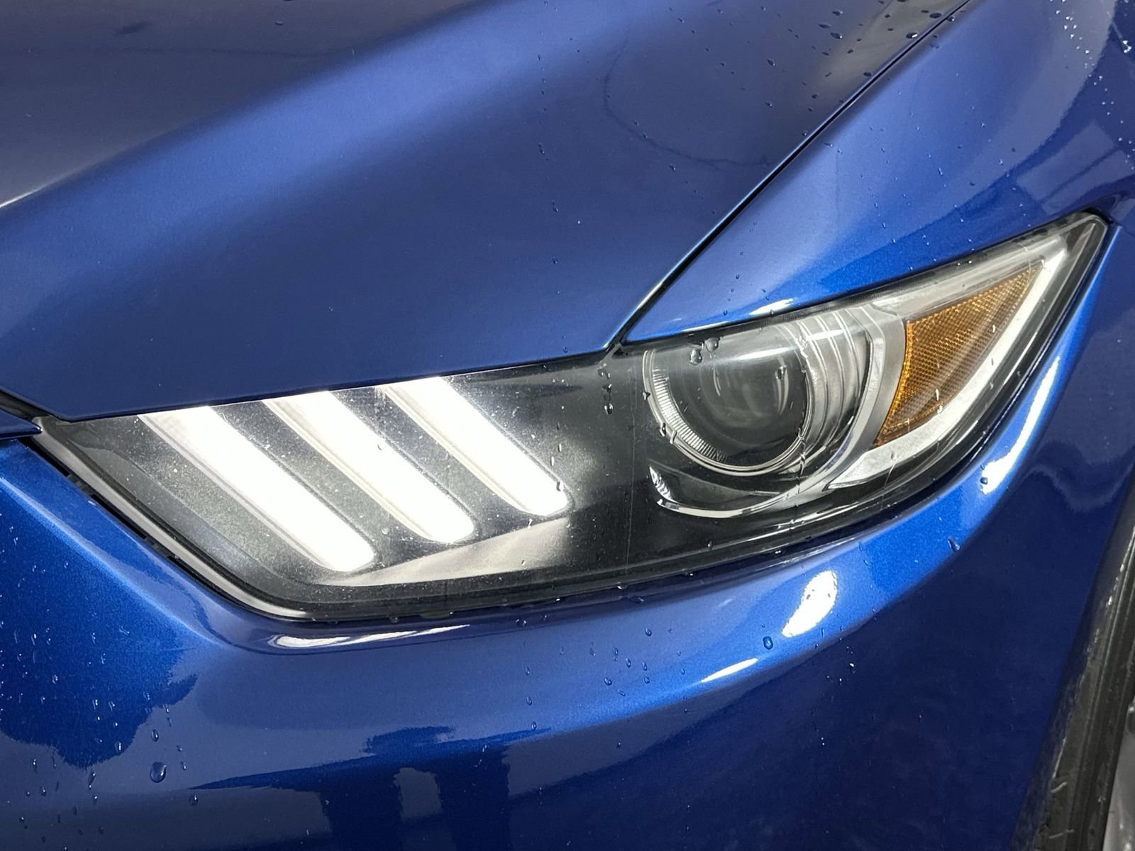 Used 2017 Ford Mustang EcoBoost image 33