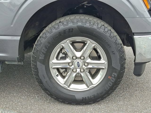 Used 2025 Ford F150 XLT w/ Equipment Group 301A Standard AWD/4WD image 8