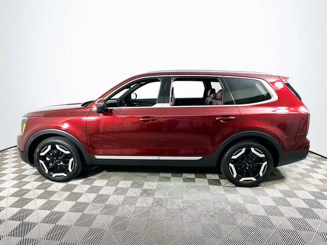 Used 2024 Kia Telluride EX FWD image 6