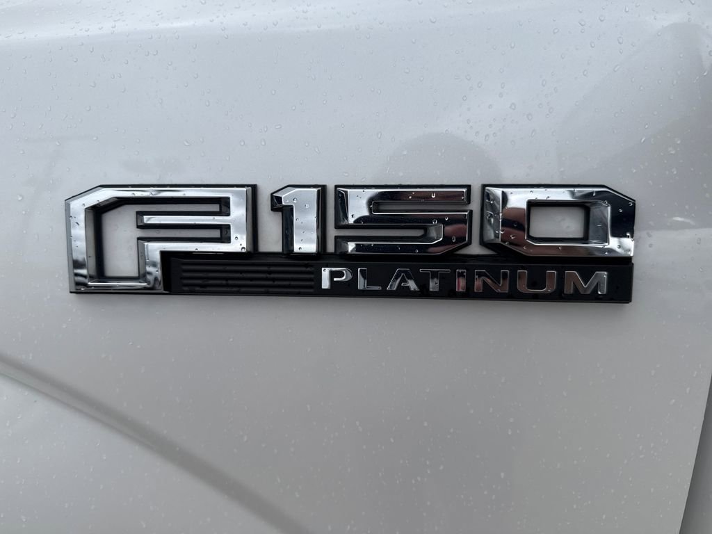 Used 2019 Ford F150 Platinum w/ Equipment Group 701A Luxury image 34